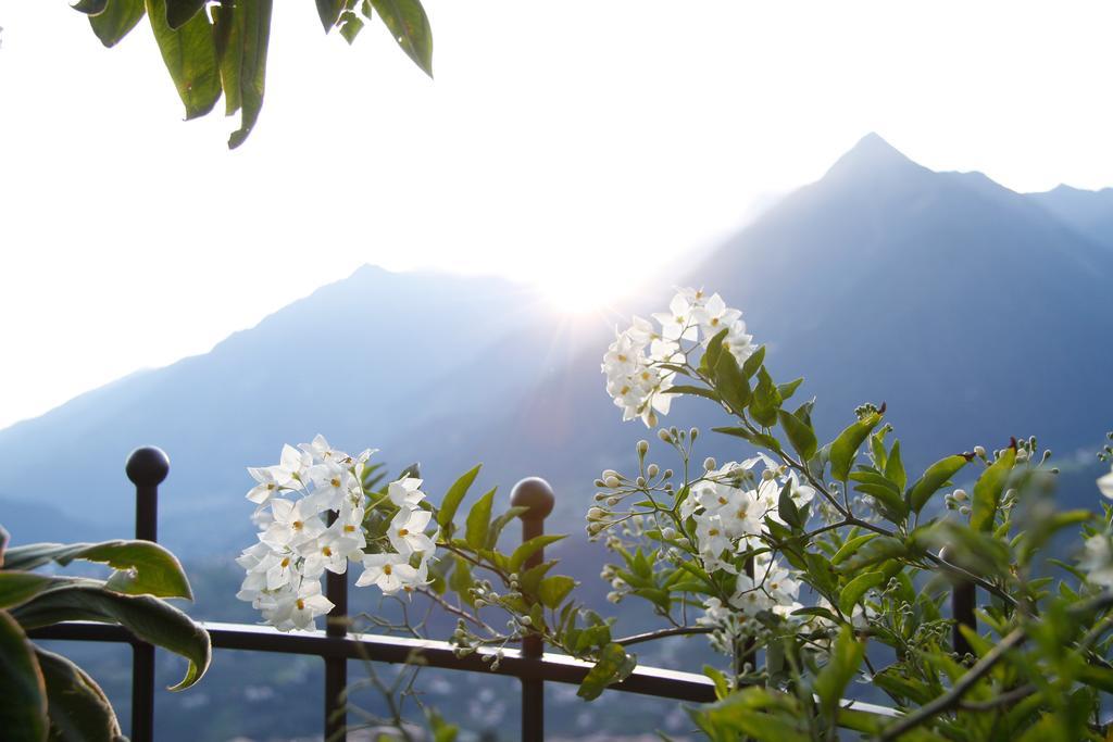 Hotel Alpenrose Schenna Exterior foto